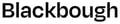 Blackbough Swim logo