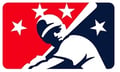 MiLB Store logo