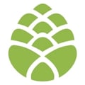 Spruce CBD logo