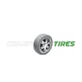 Champtires logo