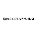 LicensePlates.tv logo