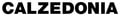 Calzedonia logo