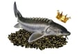 Real Gourmet Food logo