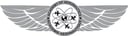 Academy of Aeronautics logo