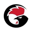 GameSir logo