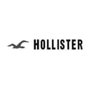 Hollister logo