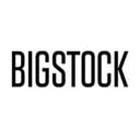 Bigstock Photo logo