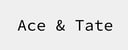 Ace & Tate logo