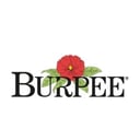 Burpee logo