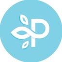 Perfect Image logo