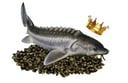 Real Gourmet Food logo
