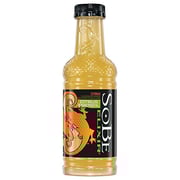 SoBe Elixir Flavored Beverage Citrus Energy - 20 Fl. Oz.