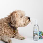Shop the Force of Nature Reusable BPA & BPS-Free Spray Bottle