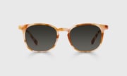 Boardroom Sunglasses