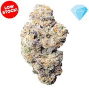 Archive Runtz THCA Flower