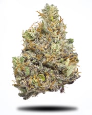 Blood Diamond CBD