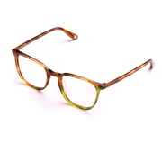 Artemis Eyeglass Frames"