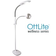 EasyView LED Craft Floor Lamp with Magnifier