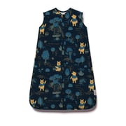 DISNEY WINNIE THE POOH SLEEP BAG