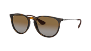 Ray-Ban RB4171 Erika 54 Eyesize