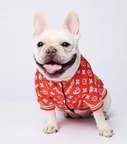 Pupreme Puppy Bomber