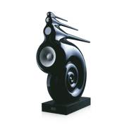 Nautilus