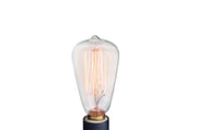 NP3 Bulb Edison