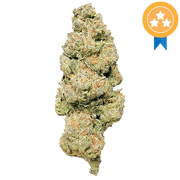 Acai Gelato THCA Flower