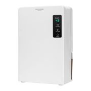 Electric Mini Dehumidifier with 2200ml Tank