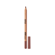 ARTIST COLOR PENCIL