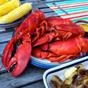 Live Maine Lobster
