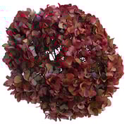 Cranberry Antique Enhanced Hydrangea Flower