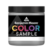 Benjamin Moore® Color Sample 8 oz. Calm 2111-70