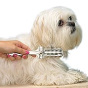 Electric Plaque Scraper Tool