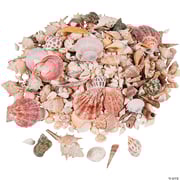 Bulk 150 Pc. Sea Shell Assortment