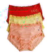 Soft Silk Getaway Brief Bundle