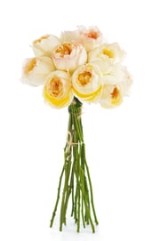 Caramel Antique | Beige Garden Rose