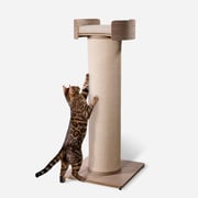 Giant Cat Tree