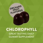 Chlorophyll Gummies