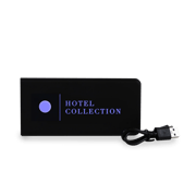 Portable USB Charger