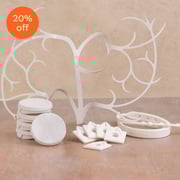 Green Thumb Accessory Bundle - Gardyn