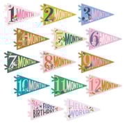 Little Artist Petit Milestone Pennants