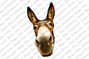 Donkey Png, Donkey Head Png, Donkey Face Png, Western Png, Farm Png, Donkey Clipart, Hand Drawn Donkey Png, Sublimation Designs Downloads