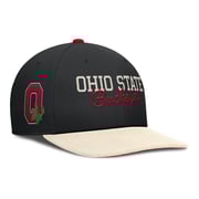 Ohio State Buckeyes Nike Pro Legacy Snapback Hat