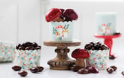 Mushroom Dreams Food Cup - 36 count