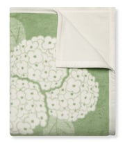 Hydrangeas Bluebell Blanket
