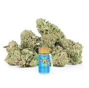 Revelry Passion Fruit Punch THCA Pre Rolls 7 Pack