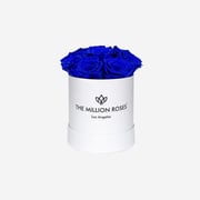 Basic White Box | Royal Blue Roses
