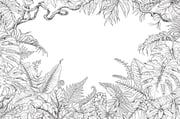 Hand drawn branches and leaves of tropical plants.Monochrome...