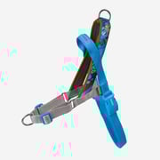 Thor | SofterWalk Harness